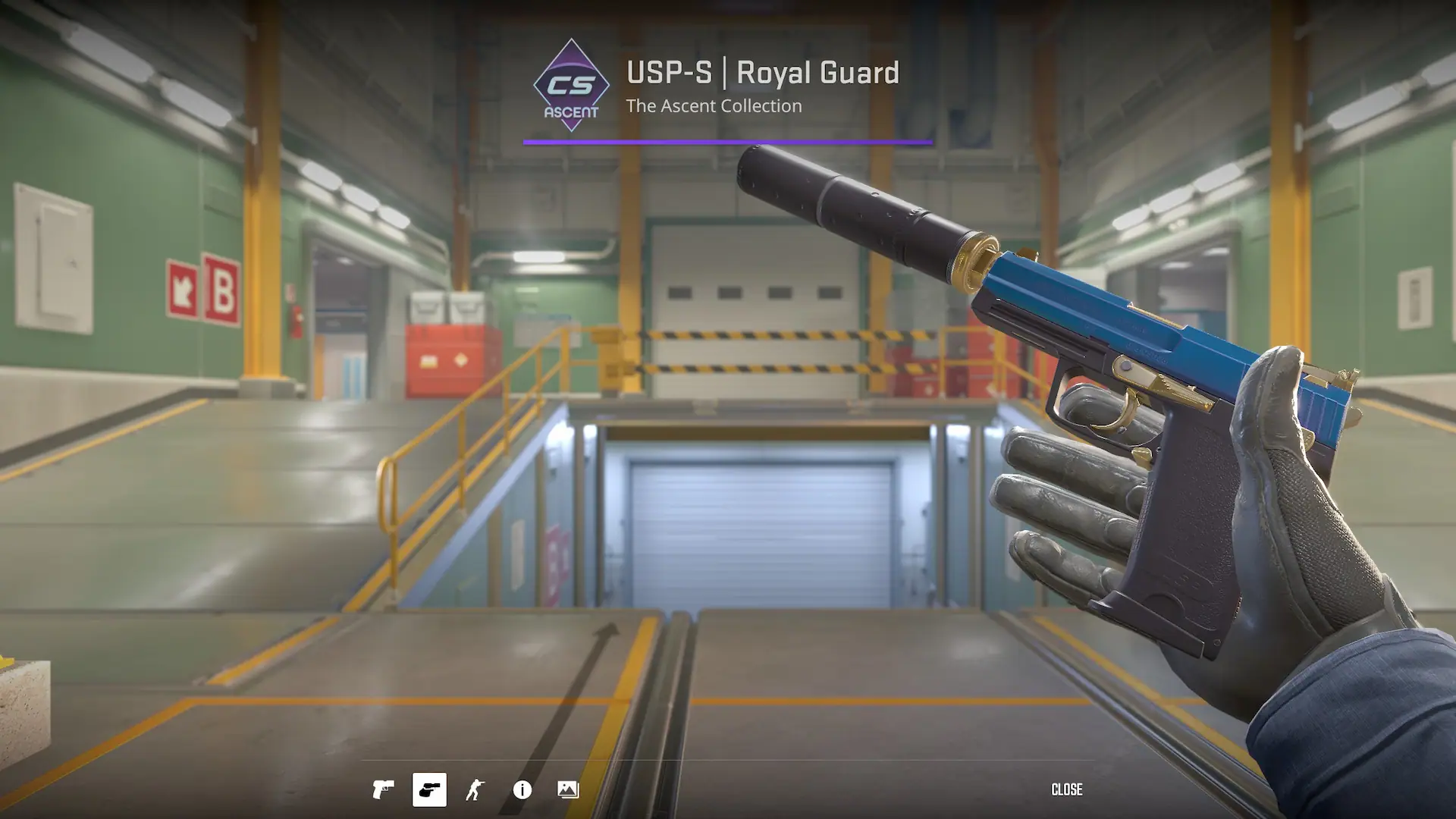 USP-S | Royal Guard